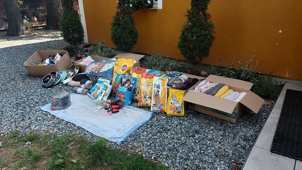 Zakończenie zbiórki „POMÓŻ ZWIERZĘTOM PRZETRWAĆ ZIMĘ!” - zdjęcie 3