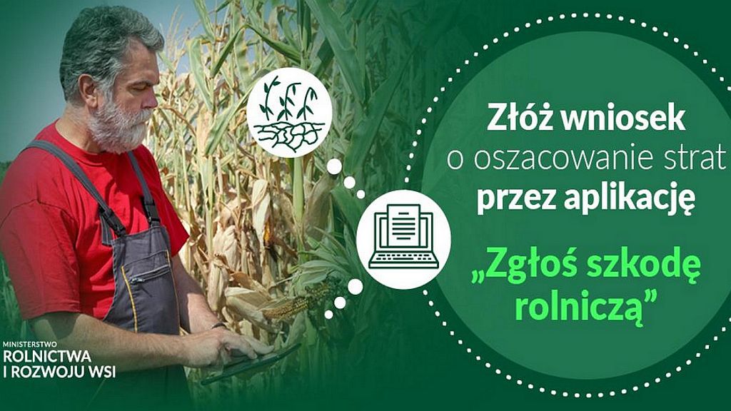 SUSZA 2023 - plakat